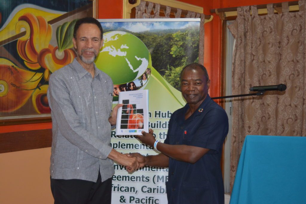 Photo of CARICOM Secretariat to launch state of biological diversity report in Egypt