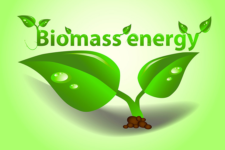 Photo of Haiti lone Caribbean nation to win IDB energy innovation contest