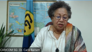 Photo of Opening Remarks by CARICOM Secretary-General Dr Carla Barnett at the Second Meeting of the CARICOM Canada Foreign Ministers Group, 1 April 2022