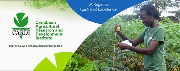 Photo of New Vistas For The Caribbean Agricultural Research And Development Institute (CARDI)