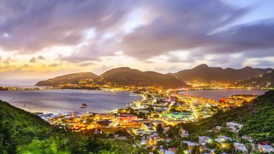 Photo of CARICOM’s Trade and Economic Council approves strategy for the re-opening of regional economies