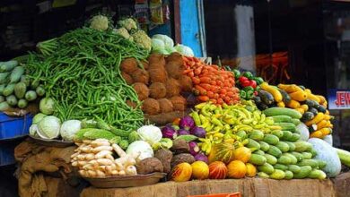 Photo of Remarks by CARICOM Secretary-General Ambassador Irwin LaRocque to the Virtual Meeting of CARICOM Ministers of Agriculture, Financial Institutions, Donor Organisations and Donor Countries, 4 June 2020