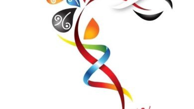 Photo of CARIFESTA XIV