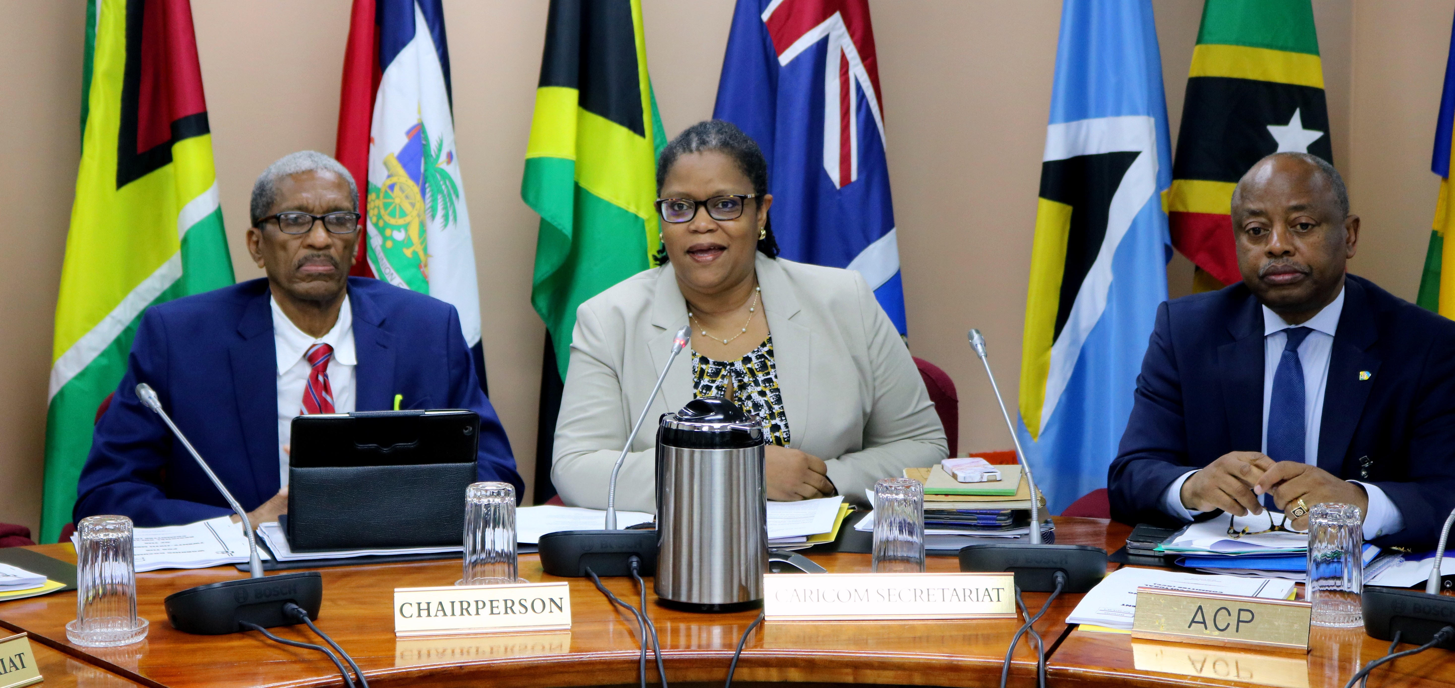 Photo of CARIFESTA XIV tops agenda of Regional Cultural Committee Meeting