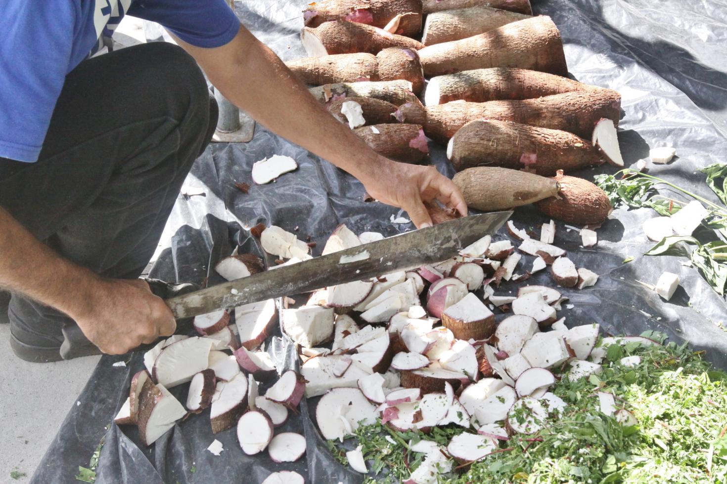 Photo of Caribbean specialists acquire new expertise for adding value to cassava