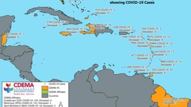 Photo of CDEMA and the UN convene Caribbean Partner Donor Group Meeting amid COVID-19 crisis