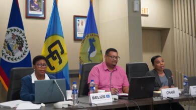 Photo of Senior CARIFORUM officials prepare for Ministerial Meeting