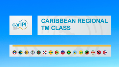 Photo of CARIFORUM launches new classification tool