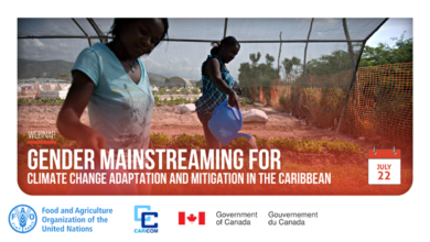 Photo of Gender Mainstreaming for Climate Change Adaptation and Mitigation in the Caribbean Webinar