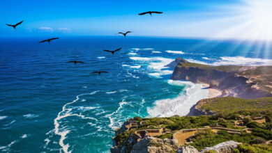 Photo of EU/PAHO/CARIFORUM Climate & Health Project Builds Capacity with Health Co-Benefits Training