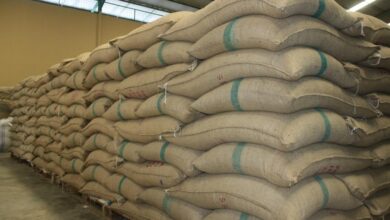 Photo of CARICOM commodity exporters to grow by 21.1% in 2022: CARICOM BUSINESS