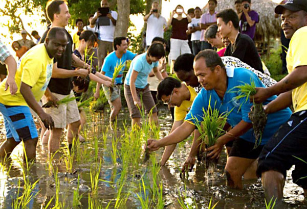 Photo of Sharp Focus On Transportation, Agri-tourism Linkages At Special COTED On Agriculture