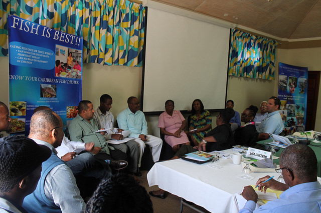 Photo of Caribbean Fights to Protect High-Value, Declining Species