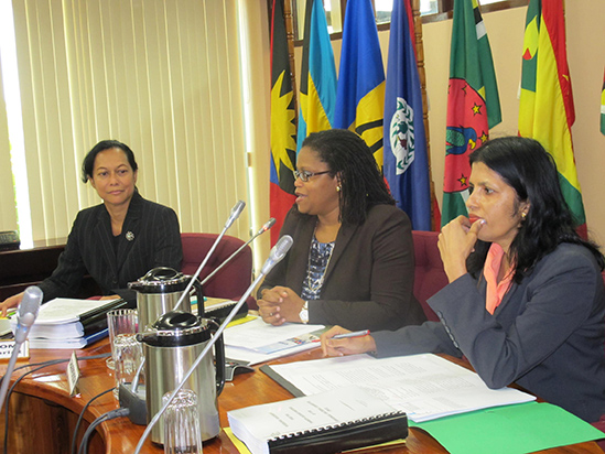 Photo of Remarks by Dr. Hilary Brown Programme Manager, Culture and Community Development Twenty-Second Meeting of the Regional Cultural Committee (RCC) Opening Ceremony Georgetown, Guyana  18 June, 2014