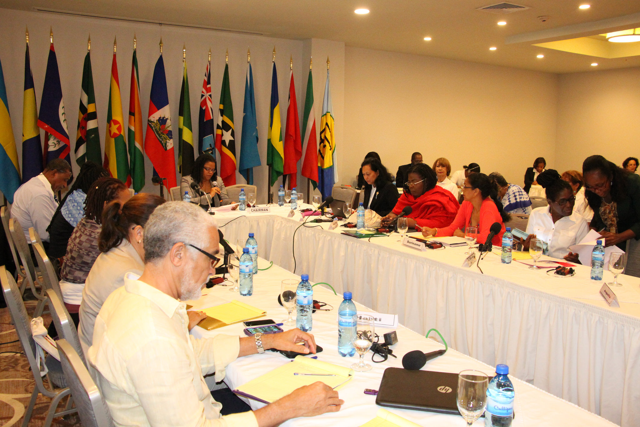 Photo of Regional Cultural Committee meets in Haiti on CARIFESTA XII