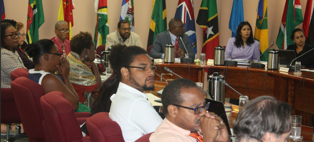 Photo of St. Kitts and Nevis CYA urges inclusion at PANCAP meeting