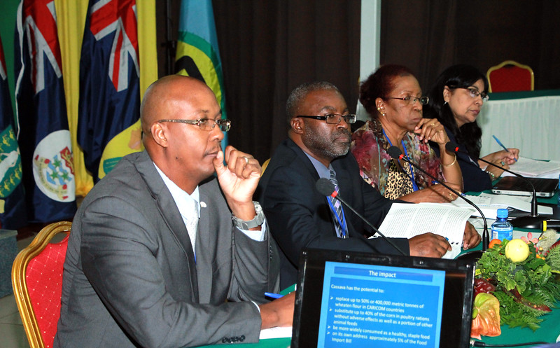 Photo of DSG wants focused attention at COTED