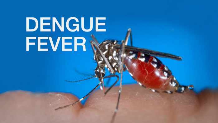 Photo of CARPHA urges region to prepare for possibility of severe dengue outbreak