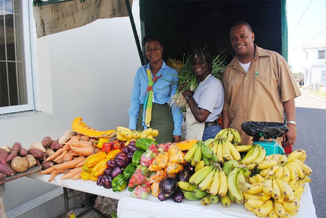 Photo of Nevis Dept. of Agriculture to observe Agriculture Awareness Month in May