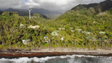 Photo of Launching Paris – A CARICOM Moment of Ambition: Snapshots of Member States Nationally Determined Contributions