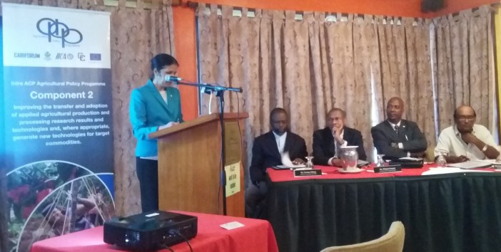 Photo of Agriculture Policy Programme has delivered significantly – CARICOM DSG