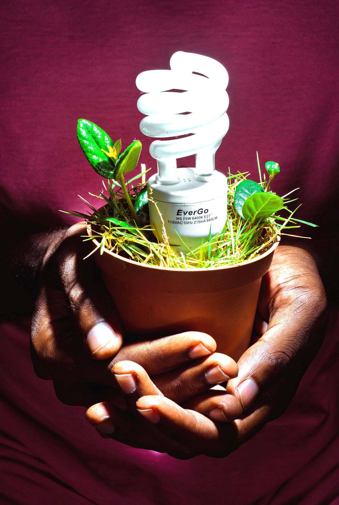 Photo of CARICOM Energy Month gets going