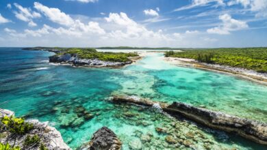 Photo of CARICOM SG highlights ongoing, significant regional initiatives to tackle biodiversity challenges