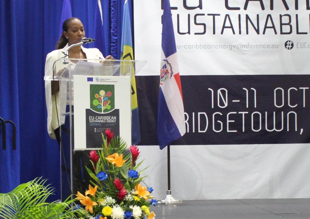 Photo of Building an Energy Efficient Private Sector