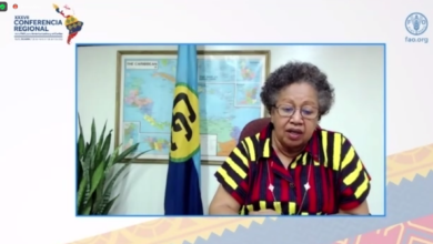 Photo of Remarks by CARICOM Secretary-General Dr Carla Barnett at  the Meeting of Ministers of Agriculture of the Andean Community (CAN) and the Caribbean Community (CARICOM)  being held during the  Thirty-Seventh Session of  the FAO Regional Conference for  Latin America and the Caribbean