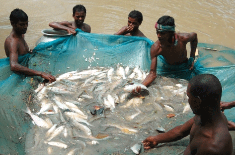 Photo of Two Caribbean countries to benefit from fisheries project