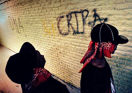 Photo of PM on International Youth Day: Gang culture is wiping them out