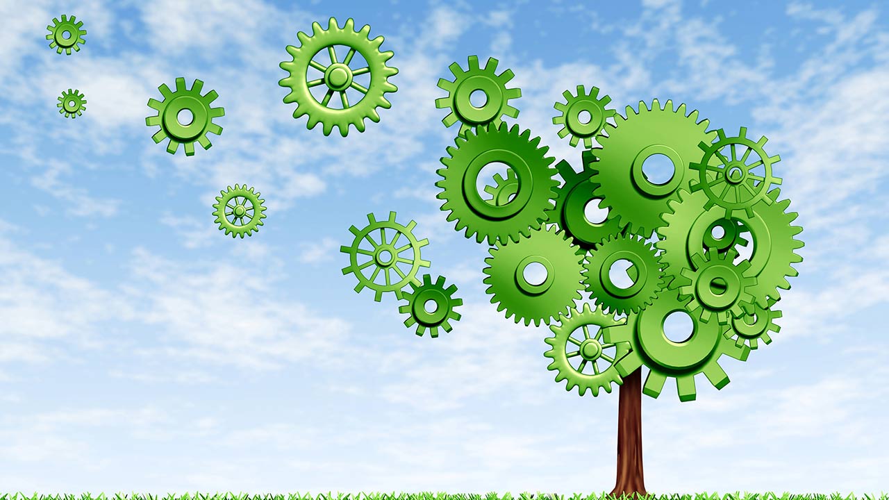 Photo of CXC Launching CAPE Green Engineering Syllabus