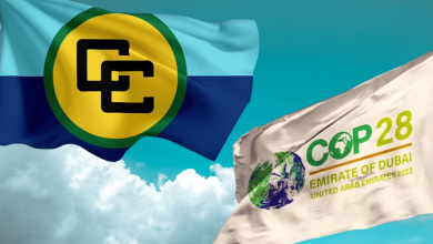 Photo of CARICOM Ministers see COP28 as a test of the world’s commitment to the most vulnerable
