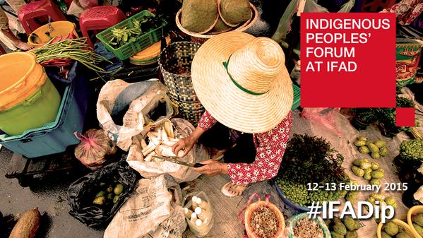 Photo of Indigenous food systems should be on the development menu