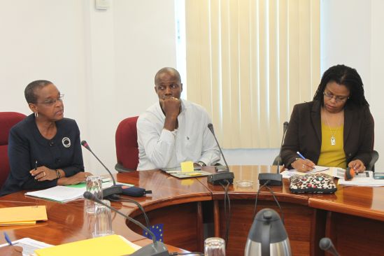 Photo of Regional Creativity for Employment and Business Opportunity (CEBO) to be introduced in Guyana