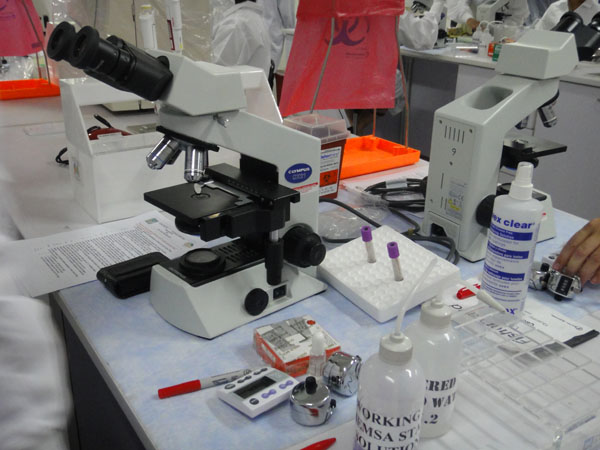 Photo of Empowering Patients through Laboratory, Clinical and Community Support – CCAS HIV/AIDS International Workshop