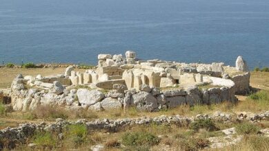 Photo of CARICOM HRD 2030 Strategy: Opinion Piece – Maltese Perspective