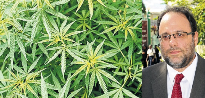 Photo of Jamaica gets Cannabis Licensing Authority