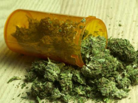 Photo of Jamaica Makes First Shipment Of Medical Marijuana To Canada