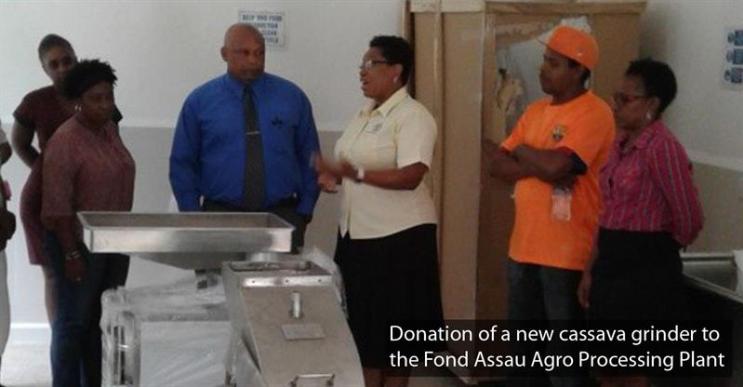 Photo of Boosting cassava production to improve Region’s food security