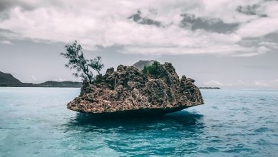 Photo of Blue Awakening as Caribbean States say no to Plastic