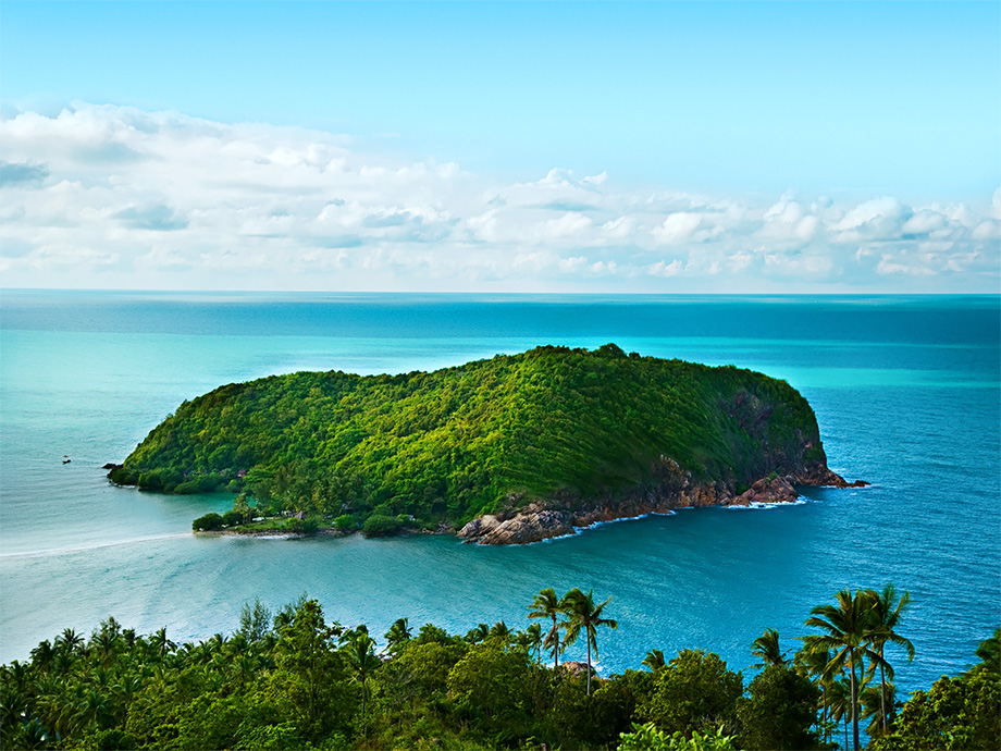 Photo of CARICOM negotiating strategy hailed as Ocean Biodiversity Treaty agreed