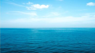 Photo of Caribbean Community (CARICOM) Statement on the  Legally Binding Instrument of the Conservation and Sustainable use of  Marine Biodiversity of Areas Beyond National Jurisdictions (BBNJ)