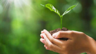 Photo of Today is World Environment Day