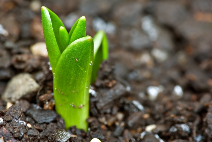 Photo of Regional Forum focuses on effects of climate change on agriculture