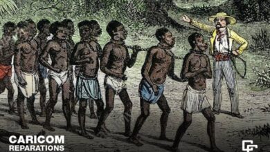 Photo of The Global Reparations Movement: The Greatest Political Tide of the 21st Century