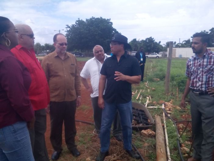 Photo of CARICOM SG tours farm during Caribbean Week of Agriculture