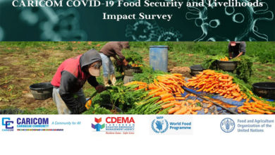 Photo of CARICOM launches COVID-19 Food Security and Livelihoods Impact Survey