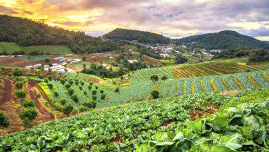 Photo of CARICOM SG to be part of discussion on promoting Regional Economic Growth and Development