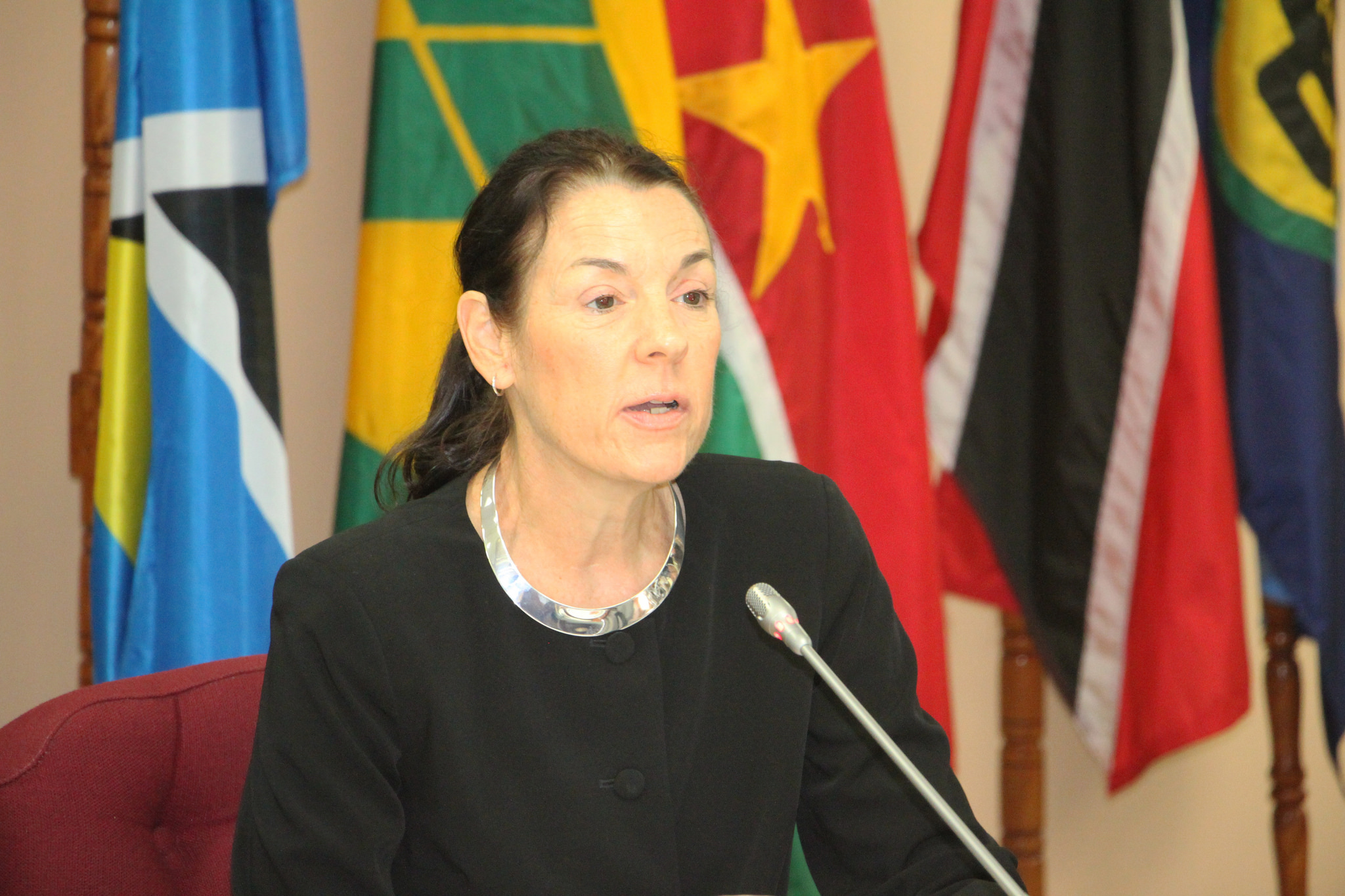 Photo of UN lauds CARICOM’s lead role on climate change, HIV/AIDS